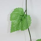 Лиана искусственная «Виноградный лист», 2.2 м, (фасовка 12 шт.) - Фото 2