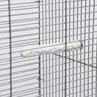 Минеральные жердочки для попугаев «Морской Риф», 17 см, набор 2 шт. - Фото 6