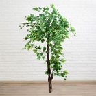 Дерево искусственное «Виноград», h=160 см - Фото 2