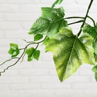 Дерево искусственное «Виноград», h=160 см - Фото 3