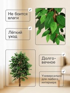 Дерево искусственное «Зелёный фикус», h=175 см - Фото 2