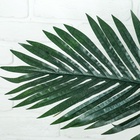 Дерево искусственное «Пальма», h=140 см - Фото 3