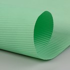 Бумага упаковочная крафт, двусторонняя, мятный, 0.7 х 10 м - Фото 2