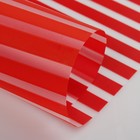 Плёнка для цветов "Атласная", красная, 0,5 х 9 м - Фото 3