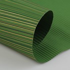 Бумага упаковочная крафт, зелёно-золотой, 0,5 х 10 м - Фото 2