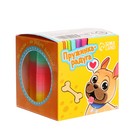 Пружинка - радуга «Вместе веселей», форма звезда, d=5 см - Фото 5