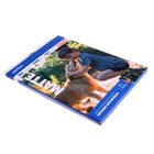 Фотобумага для струйной печати А4, 50 листов Perfeo, 190 г/м², односторонняя, матовая - Фото 3