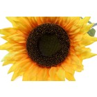 цветы искусственные (стебель-резина,бутон-ткань) подсолнух 120см d-40 - Фото 2