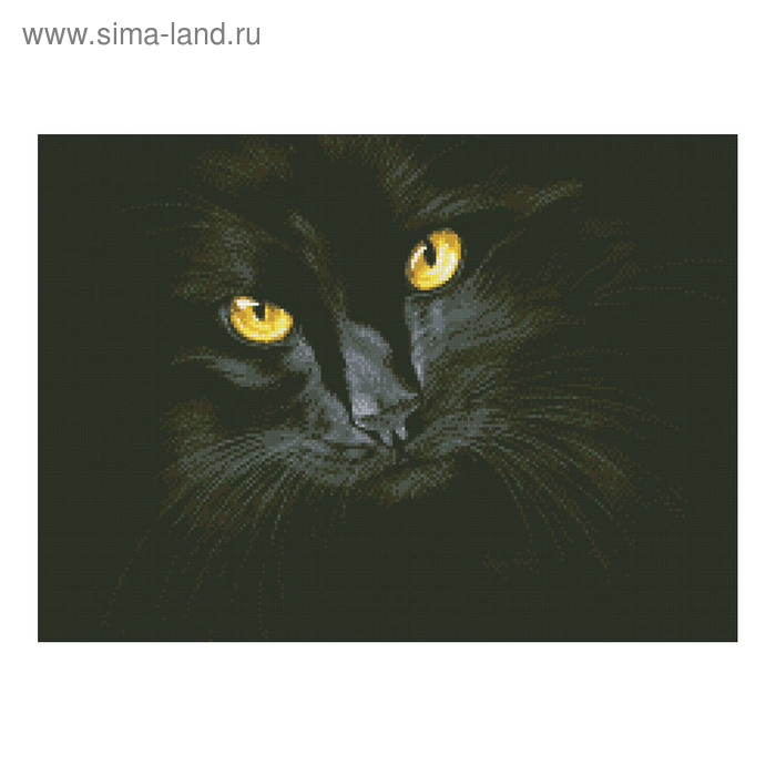 Набор алмазной мозаики «Чёрная кошка» - Фото 1