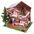 Конструктор из кирпичиков «Дачный дом», 650 деталей - Фото 1