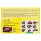 Конструктор из кирпичиков «Дачный дом», 650 деталей - Фото 3