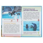 Научно-популярная библиотека начальной школы "Акулы, киты, дельфины" - Фото 3