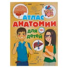 Атлас анатомии для детей. Швырев А. А. - Фото 1
