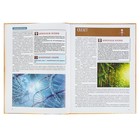 Атлас анатомии для детей. Швырев А. А. - Фото 2