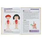 Атлас анатомии для детей. Швырев А. А. - Фото 4