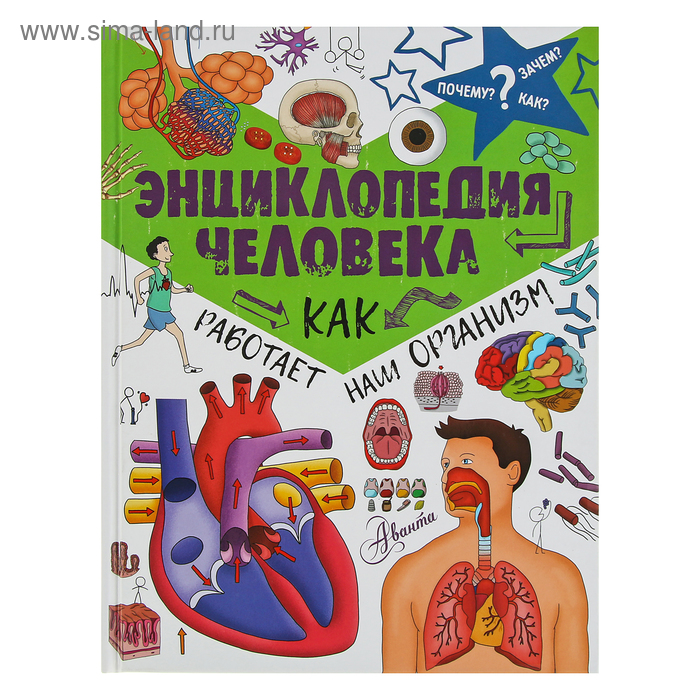 Энциклопедия человека «Как работает наш организм» - Фото 1