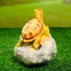 Садовая фигура "Черепаха на камне" 11,5х11,5х17см - Фото 3
