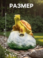 Садовая фигура из гипса «Черепаха на камне», 18×13.5×13.5 см - Фото 2