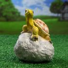 Садовая фигура "Черепаха на камне" 11,5х11,5х17см - Фото 4