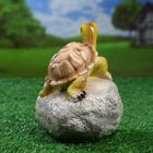 Садовая фигура "Черепаха на камне" 11,5х11,5х17см - Фото 6