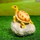 Садовая фигура из гипса «Черепаха на камне», 18×13.5×13.5 см - Фото 5
