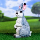 Садовая фигура из гипса «Заяц Вася», 33×15×17 см - Фото 4