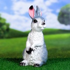 Садовая фигура из гипса «Заяц Вася», 33×15×17 см - Фото 5