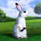 Садовая фигура из гипса «Заяц Вася», 33×15×17 см - Фото 6