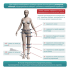 Чулки компрессионные ID-301T Luomma Idealista, размер S (II), 2 класс Long, цвет бежевый, полупр, с силиконовой ажурной резинкой - Фото 5