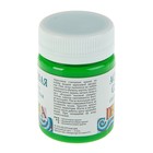 Краска акриловая глянцевая 50 мл, ЗХК Decola, зелёная светлая, 2928717 - фото 20790411