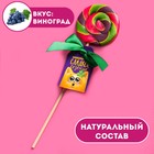 Леденец на палочке «Невероятно сладкое везение», вкус: виноград, 15 г. 2901467 - фото 8597510