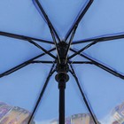 Зонт полуавтоматический «Дневная прогулка», 3 сложения, 8 спиц, R = 50 см, цвет голубой - Фото 3