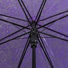 Зонт - трость полуавтоматический «Кружево», 8 спиц, R = 46 см, цвет фиолетовый - Фото 3