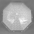Зонт - трость полуавтоматический «Кружево», 8 спиц, R = 46 см, цвет белый - Фото 2
