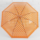 Зонт - трость полуавтоматический «Горошек», 8 спиц, R = 50 см, цвет оранжевый - Фото 2