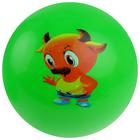 Мяч детский «Животные», d=25 см, 75 г, цвет МИКС - Фото 4