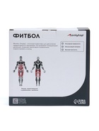 Фитбол ONLYTOP, d=45 см, 500 г, цвета МИКС - фото 7099767