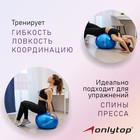 Фитбол ONLYTOP, d=55 см, 650 г, цвета МИКС - Фото 2