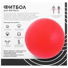 Фитбол ONLYTOP, d=55 см, 650 г, цвета МИКС 441545 Фитбол ONLYTOP, d=55 см, 650 г, цвета МИКС 441545