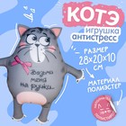 Игрушка-антистресс «Возьми меня на ручки», кот - Фото 1