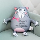 Игрушка-антистресс «Возьми меня на ручки», кот - Фото 4