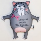 Игрушка-антистресс «Возьми меня на ручки», кот - Фото 2