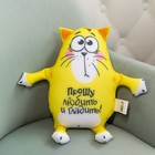 Игрушка-антистресс «Прошу любить и гладить», Котэ - Фото 4