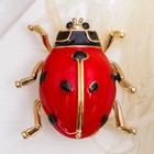 Брошь «Божья коровка» крупная, цвет красно-черный в золоте - Фото 1