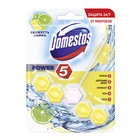 Блок для очищения унитаза, Domestos Power 5, "Свежесть лайма", 55 г - Фото 1
