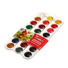 Акварель медовая «ЗХК. Цветик», 24 цвета, без кисти, белый пластиковый футляр - Фото 3