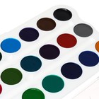 Акварель медовая «ЗХК. Цветик», 24 цвета, без кисти, белый пластиковый футляр - Фото 5