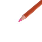 Карандаши художественные цветные мягкие «Сонет», 24 цвета - Фото 3