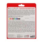 Пластилин мягкий (восковой) «ЗХК. Цветик», 12 цветов, 180 г, со стеком - Фото 5