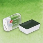 Акварель художественная, в кювете 2.5 мл «ЗХК. Белые ночи», травяная зелёная 1911716 - Фото 1